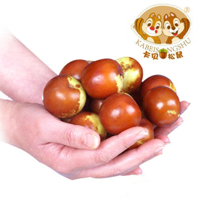 百年貢棗，脆甜如初 黃驊冬棗預(yù)售開啟，10斤保鮮裝鮮享秋日甘甜